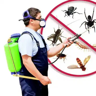 pest control Bayshore